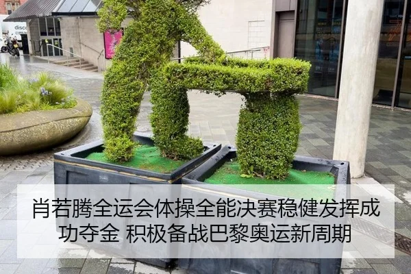 肖若腾全运会体操全能决赛稳健发挥成功夺金 积极备战巴黎奥运新周期
