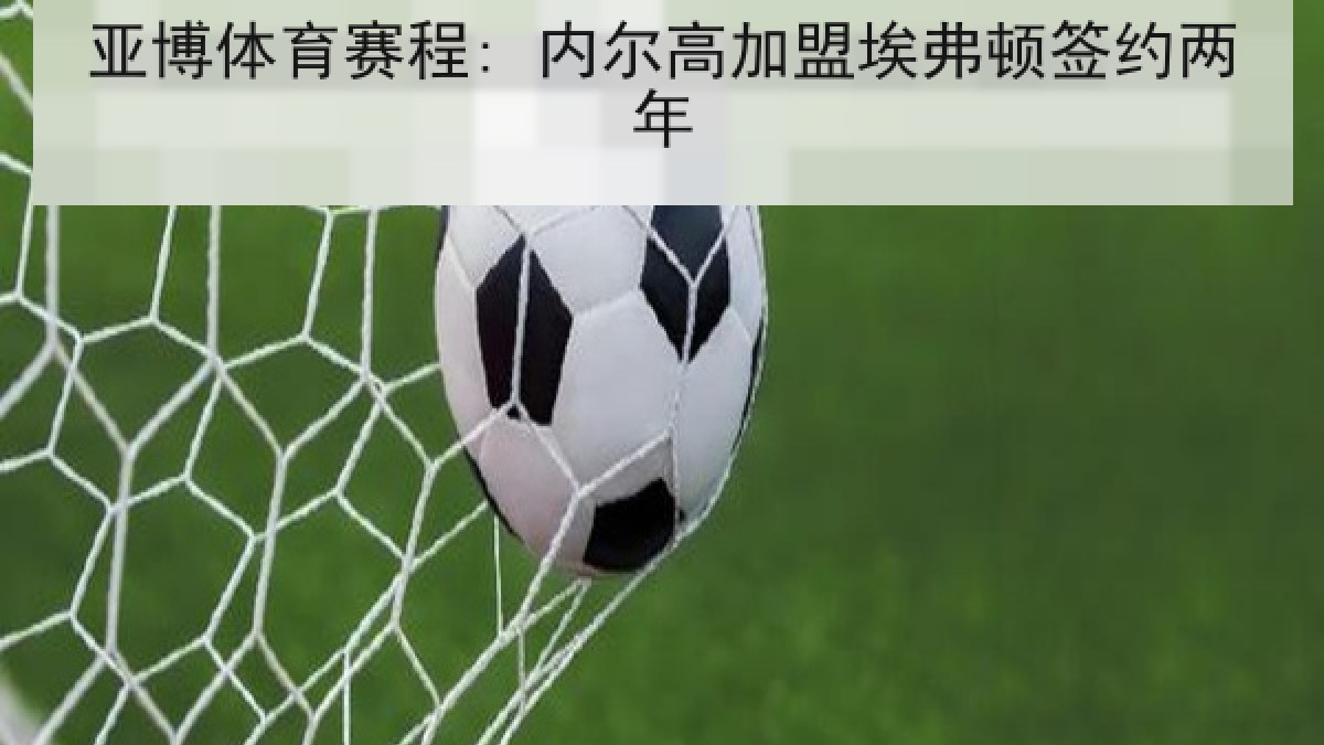 亚博体育赛程: 内尔高加盟埃弗顿签约两年