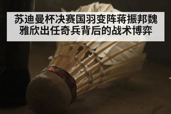 苏迪曼杯决赛国羽变阵蒋振邦魏雅欣出任奇兵背后的战术博弈